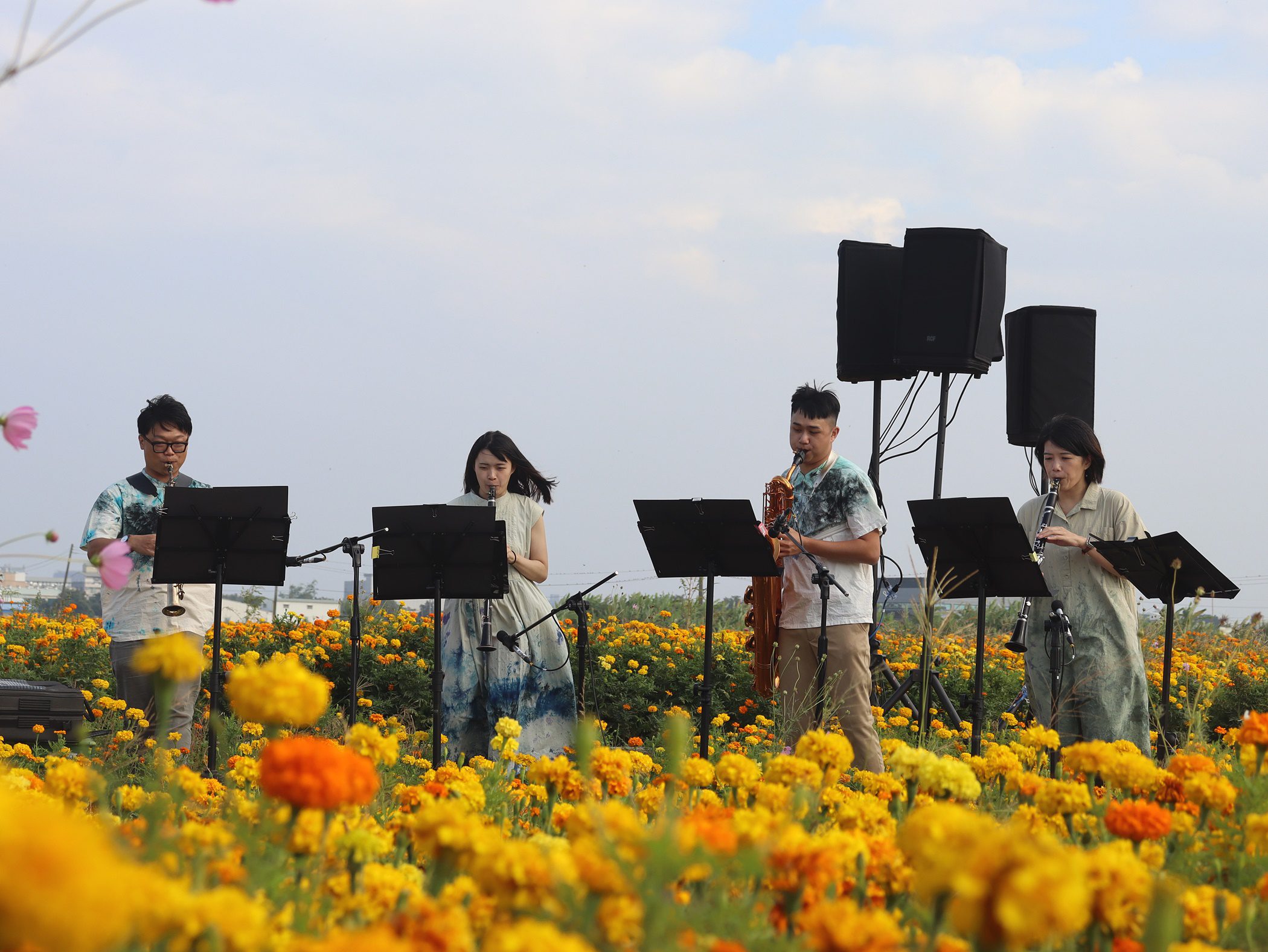 「管他什麼音樂」　嘉義管樂節短影音賽祭出25萬豪禮