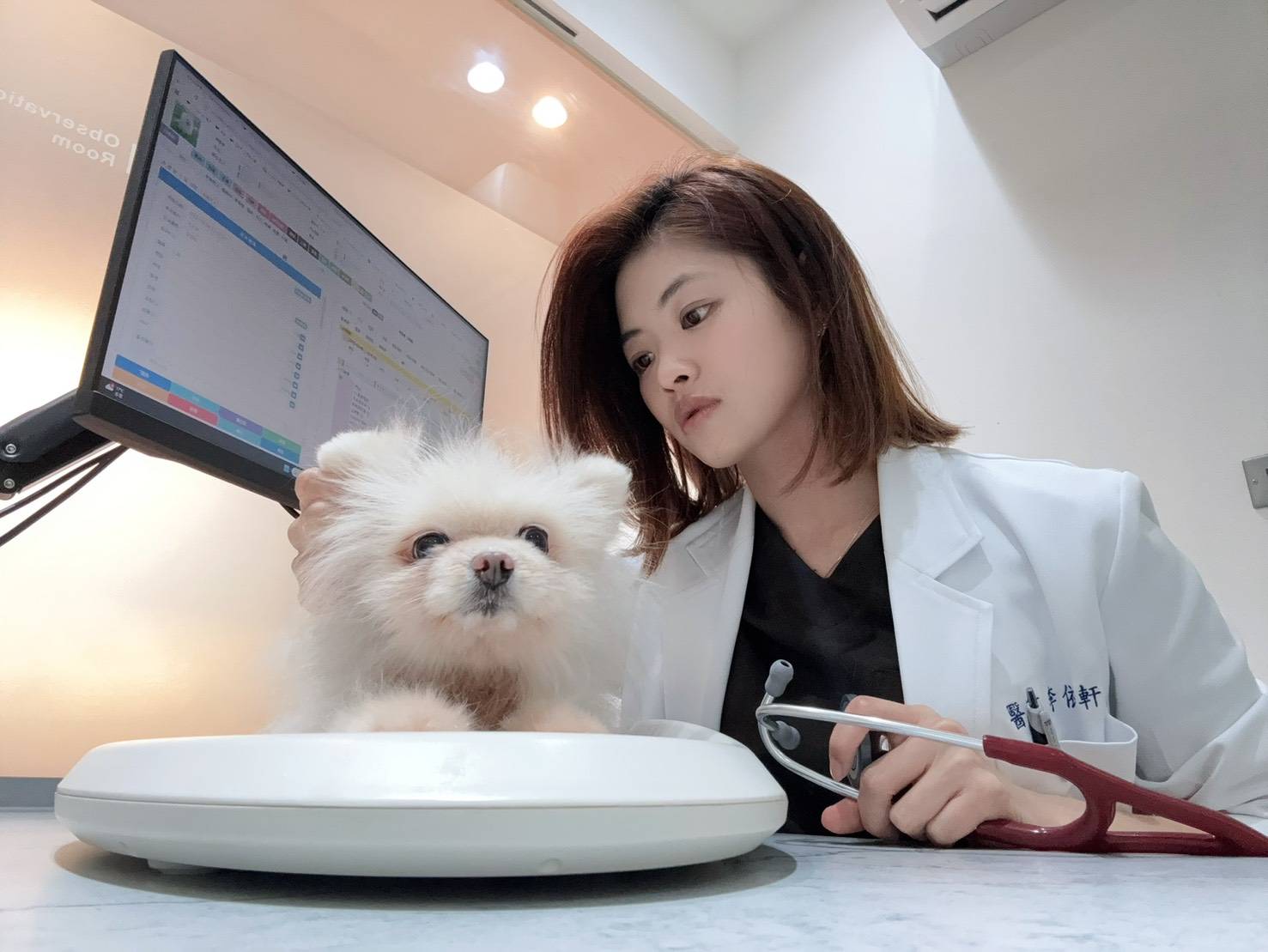 ▲ 李依軒指出,若毛孩傷口超過兩週沒有癒合要注意是否形成生物膜,會使傷口不易癒合。(圖/ 李依軒獸醫師提供)