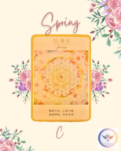 【Angela 共鳴的藍鷹占卜專欄】面對新的計畫/新的目標,我應該採取什麼樣的行動? 4 486813304 1228460919288741 5733971050554062174 n