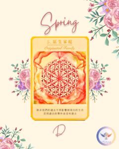 【Angela 共鳴的藍鷹占卜專欄】面對新的計畫/新的目標,我應該採取什麼樣的行動? 5 486952780 1228460942622072 7624822841294622259 n