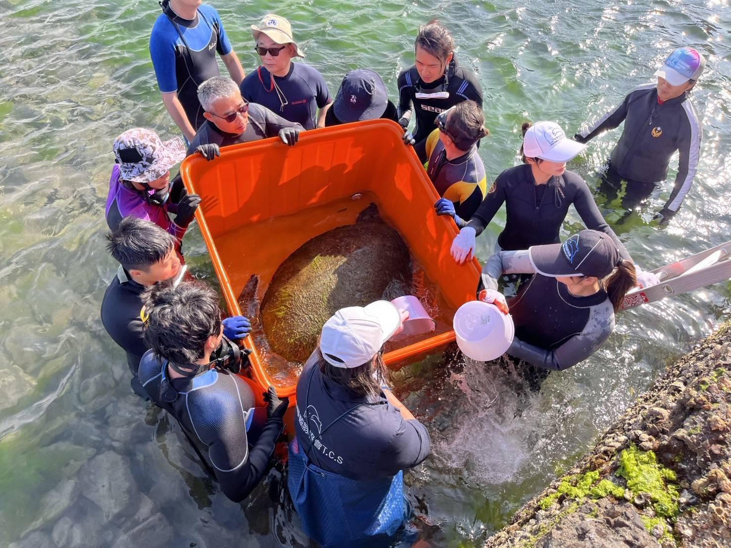 955204_0 - 報新聞 Mega News