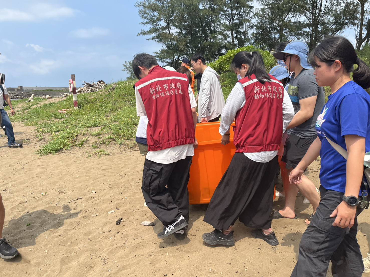 955207_0 - 報新聞 Mega News