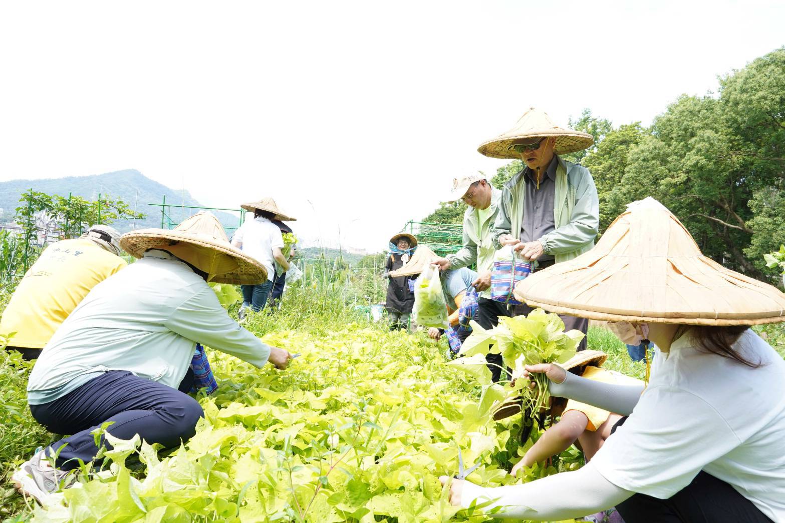957898_0 - 報新聞 Mega News