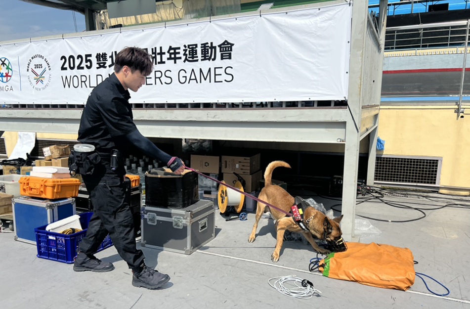 爆裂物偵測 - 報新聞 Mega News ▲圖說:中市警犬隊偵爆犬每日巡查觀眾席、選手區與場邊設施,逐一進行爆裂物偵測任務 (圖/台中市政府 提供)