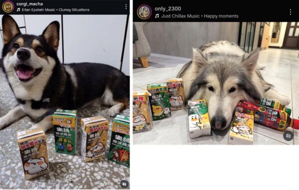 生活飲料 × TONY STAN X野生喵喵怪X PIXET PLANET 限定聯名包裝以爆笑職場日常為主題，設計太可愛讓網友狂拍狂收藏！截圖/FB:哈士奇俱樂部-pocky的跑跳人生 ; IG@only_2300