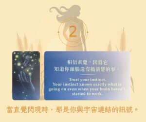 【Angela 共鳴的藍鷹占卜專欄】這個芒種節氣,我該如何提升自己的靈性覺知? 3 501060523 1293261162808716 6952152232475413770 n