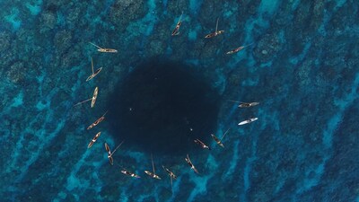 在所羅門群島烏拉瓦島附近，一群土著漁民透過圍圈捕撈鰺魚，感謝海洋的禮物。相片來源：所羅門群島馬基拉-烏拉瓦省的蘇烏莫利村。