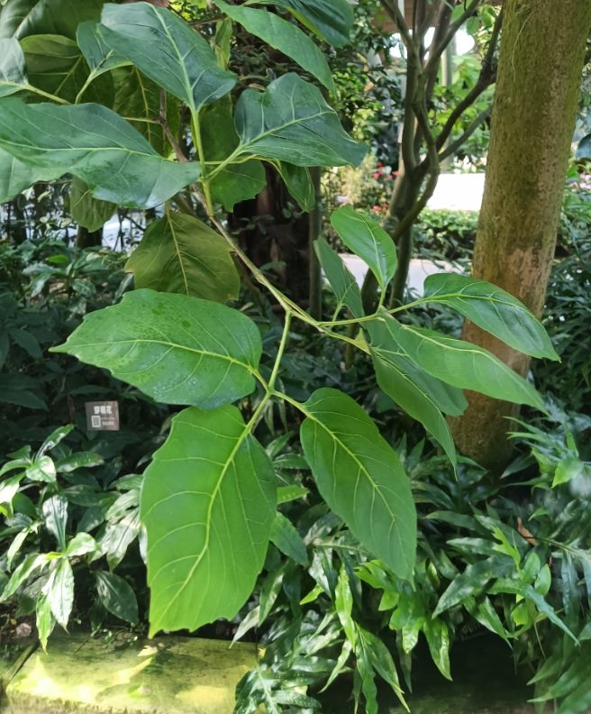 eeba92ee 5b36 455a a203 7ccfcfb67899 2