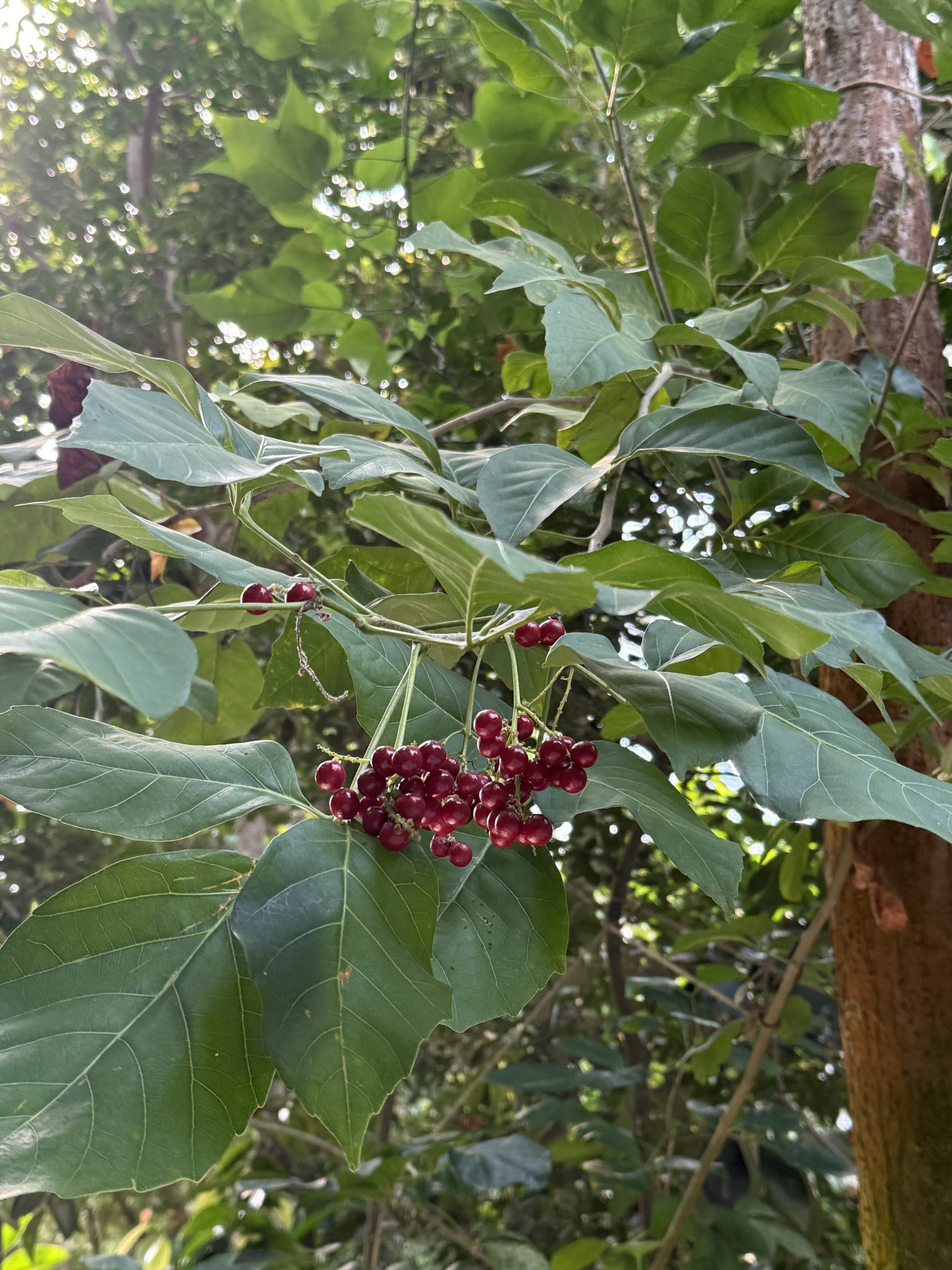 ef8e2075 eccf 4e2d bbd6 e6b6fe406888 2 rotated 3