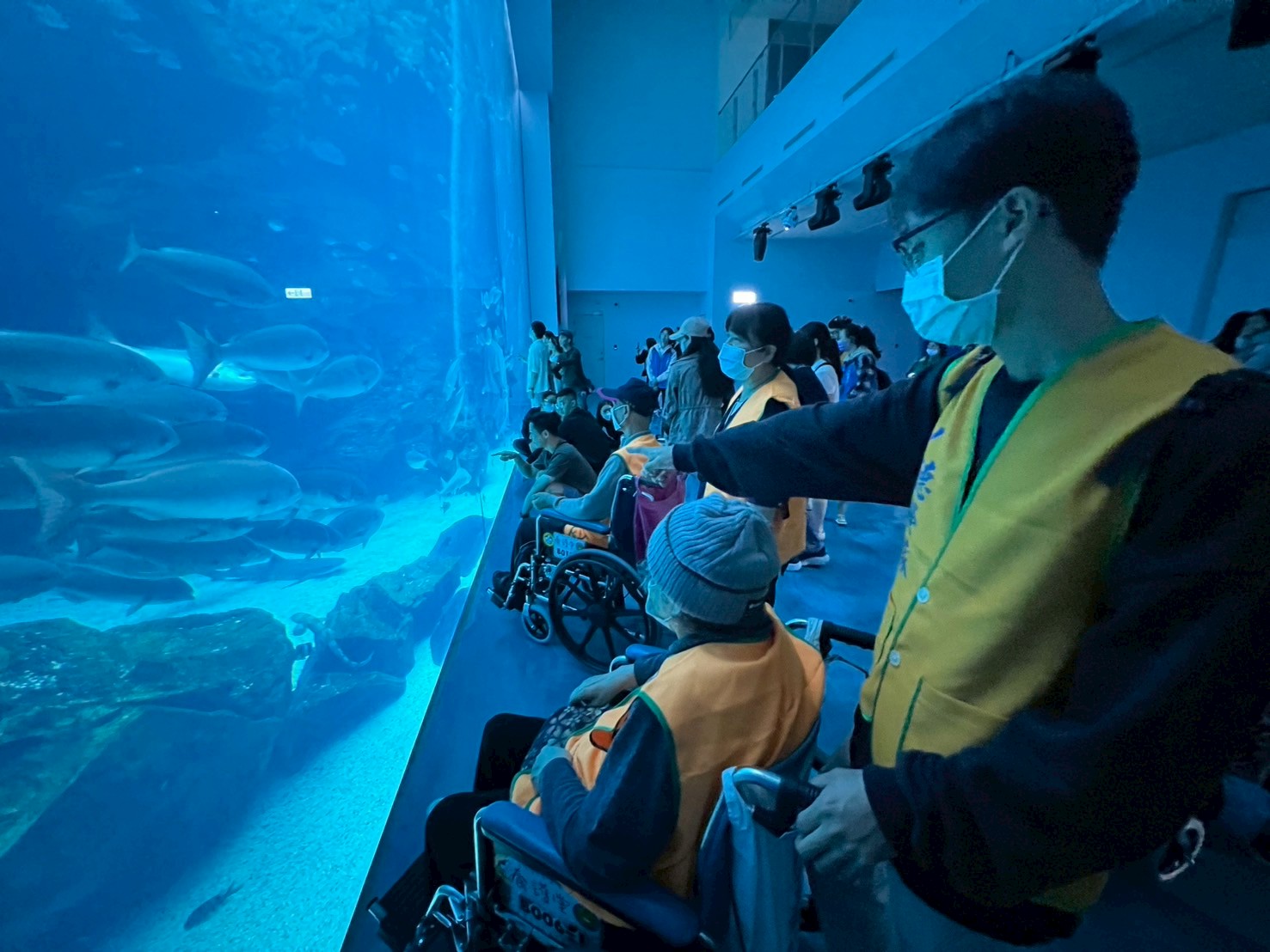 八德榮家養護住民於大型水族觀景窗前觀賞魚群悠游 沉浸於美麗的海底風光